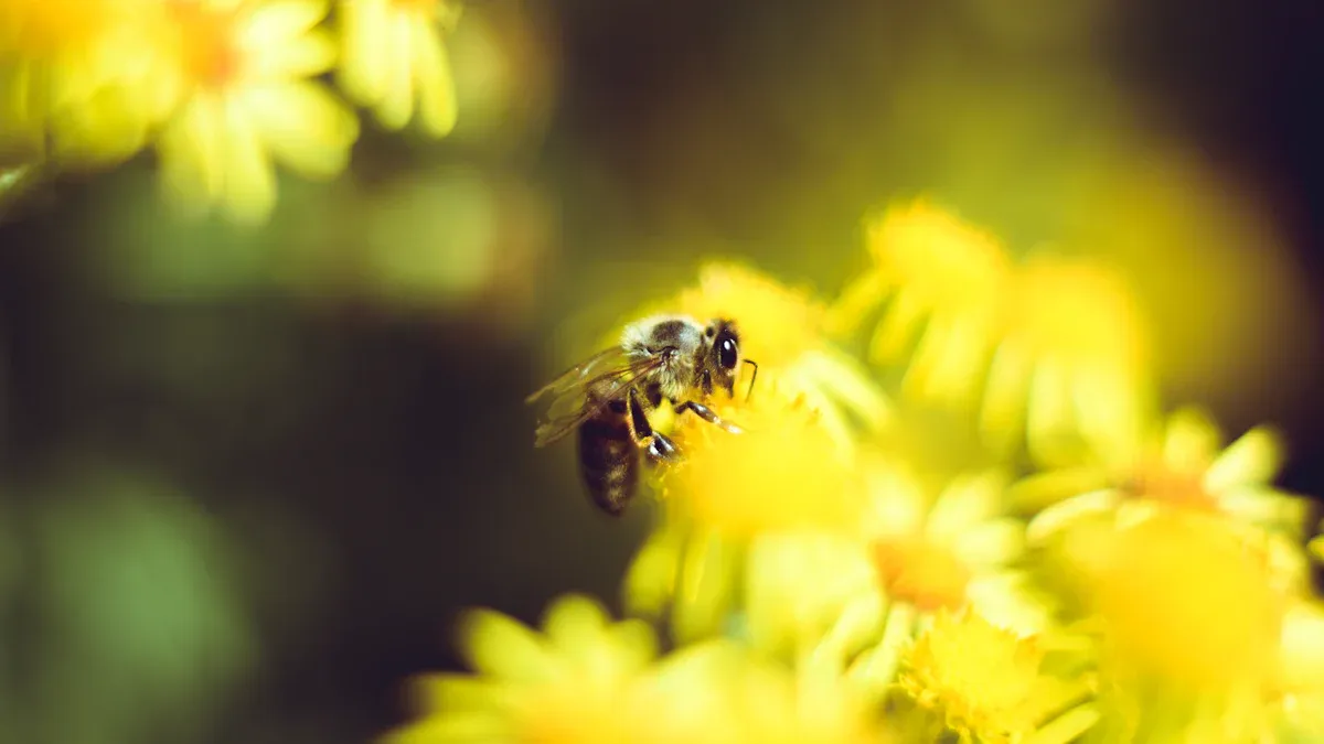 Pollinators and Their Role
