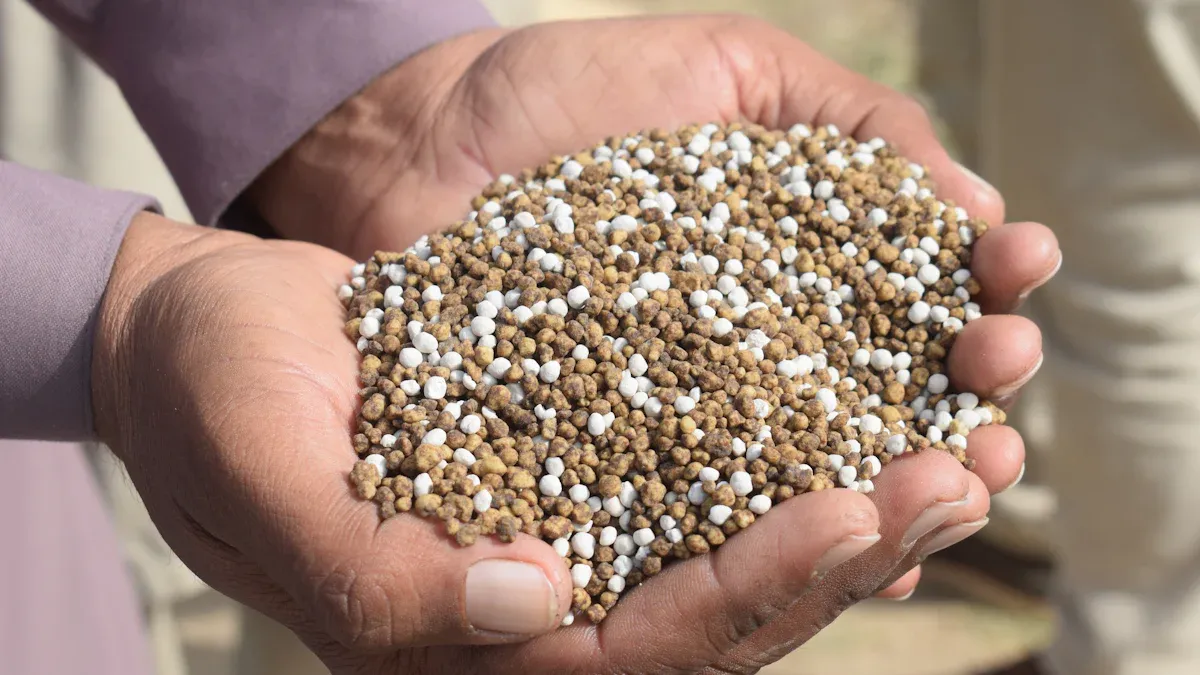 Types of Fertilizers for Container Plants