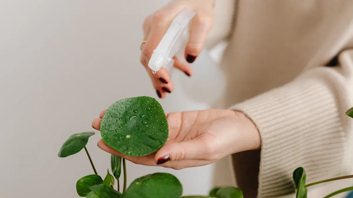 Aftercare for Cuttings