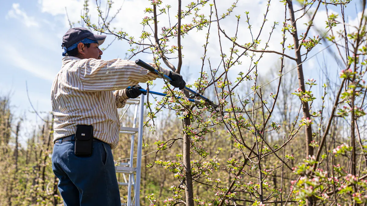 Shrubs You Should Prune in Spring