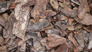 How to Use Bark to Improve Drainage in Potted Plants: Best Practices