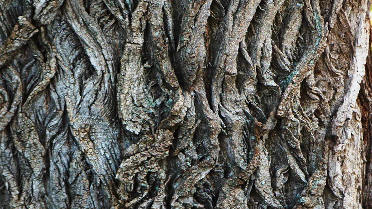 Different Types of Tree Bark: Ridged