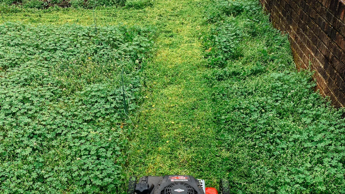 Types of Lawn Mowers: Reel, Rotary, & Robotic Guide