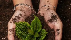 Best Soil Mixtures for Successful Cuttings: A Guide to Thriving New Plants