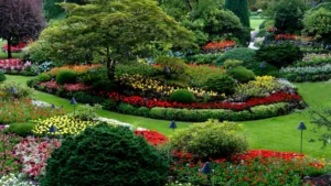 Size Matters: Choosing the Right Anubias Plant for Your Landscape or Aquarium