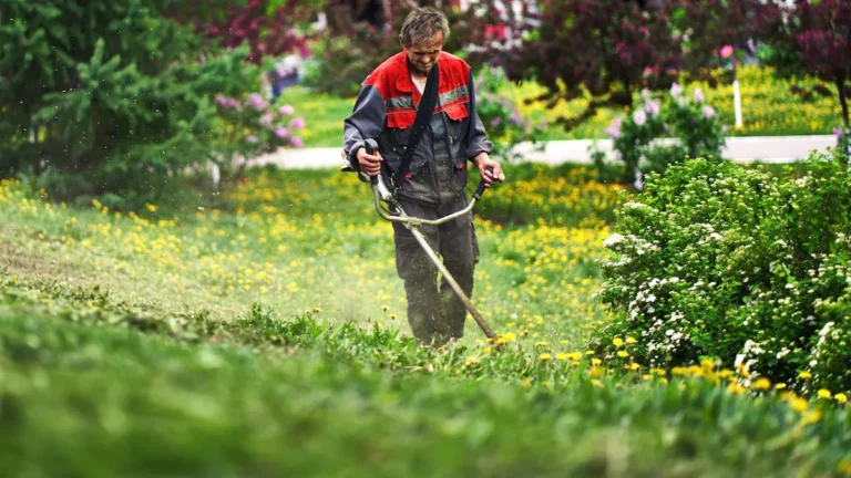How to Prevent Foundation Plant Overgrowth & Damage