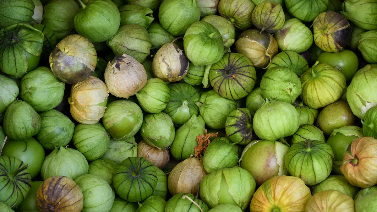 Choosing the Right Soil for Tomatillo Plant: Tips for Thriving Growth