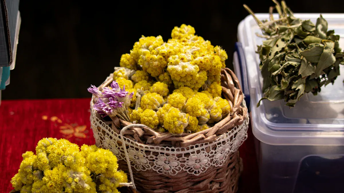 How to Grow Helichrysum