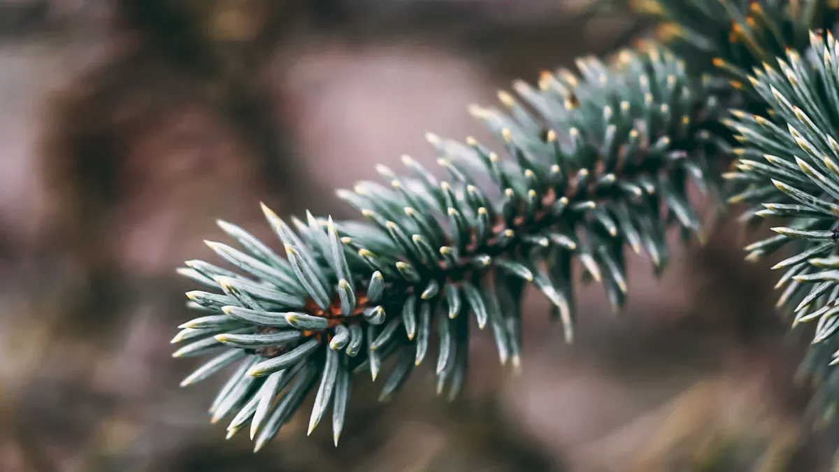 Treatment Strategies for Japanese Black Pine Diseases