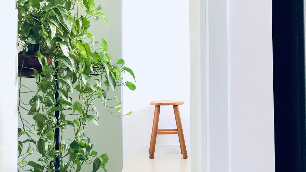 Significance of the Jade Pothos Plant