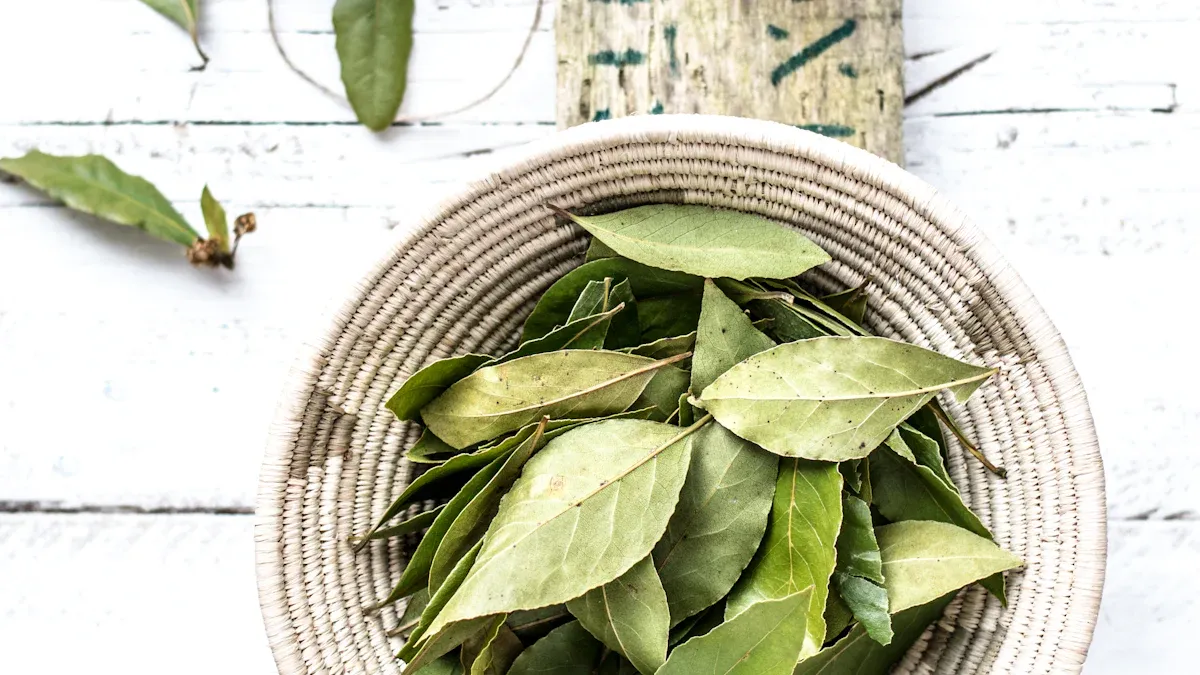Preparing Cuttings for Planting