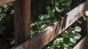 DIY Vertical Garden Plans: Build a Pallet Wall Planter