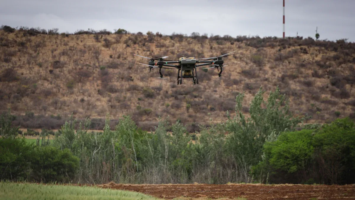 Environmental Factors