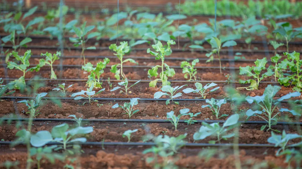 Tips for Optimal Growth