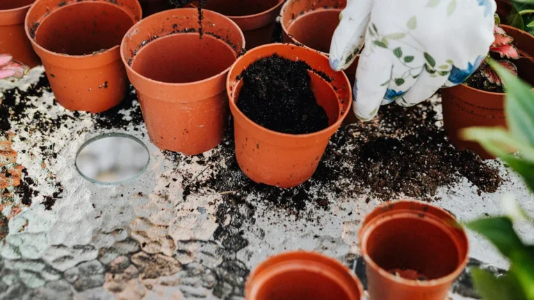 The Benefits of Using Earth Berms as Protective Barriers in Your Garden
