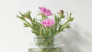 Pruning Portulaca Plants: In-Depth Guide for Effective Trimming and Growth