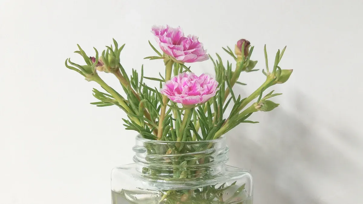 Pruning Portulaca Plants: In-Depth Guide for Effective Trimming and Growth