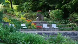 How to Create a Maintenance Plan for Native Plant Gardens