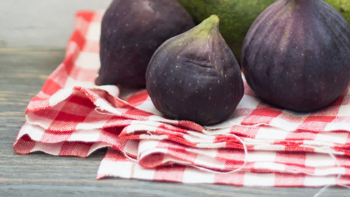 Types Of Fig Trees: Edible Varieties & Growing Guide