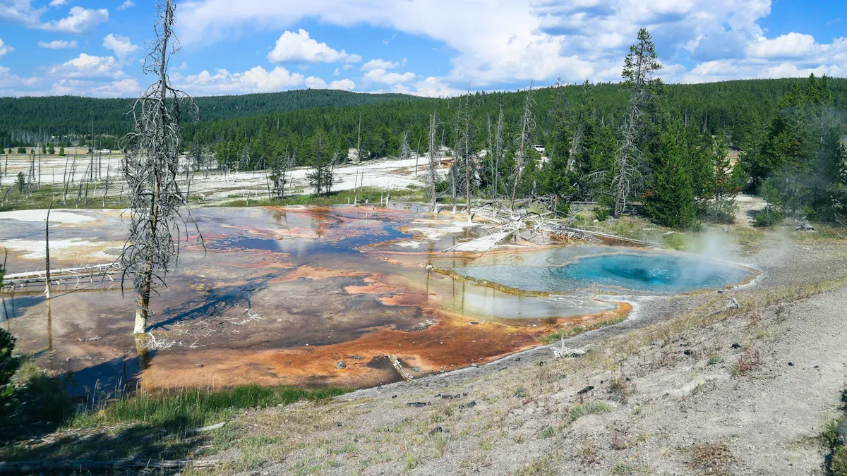 Soil Conditions Near Geysers: How They Affect Plant Growth and Survival