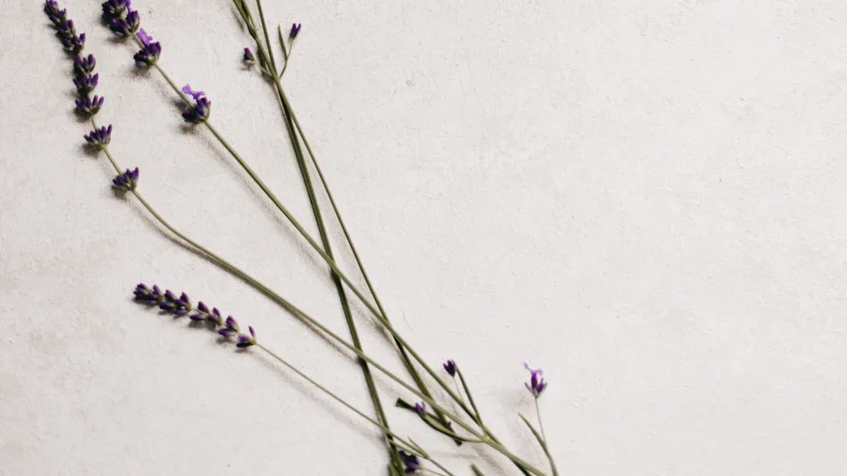 Lavender Roots