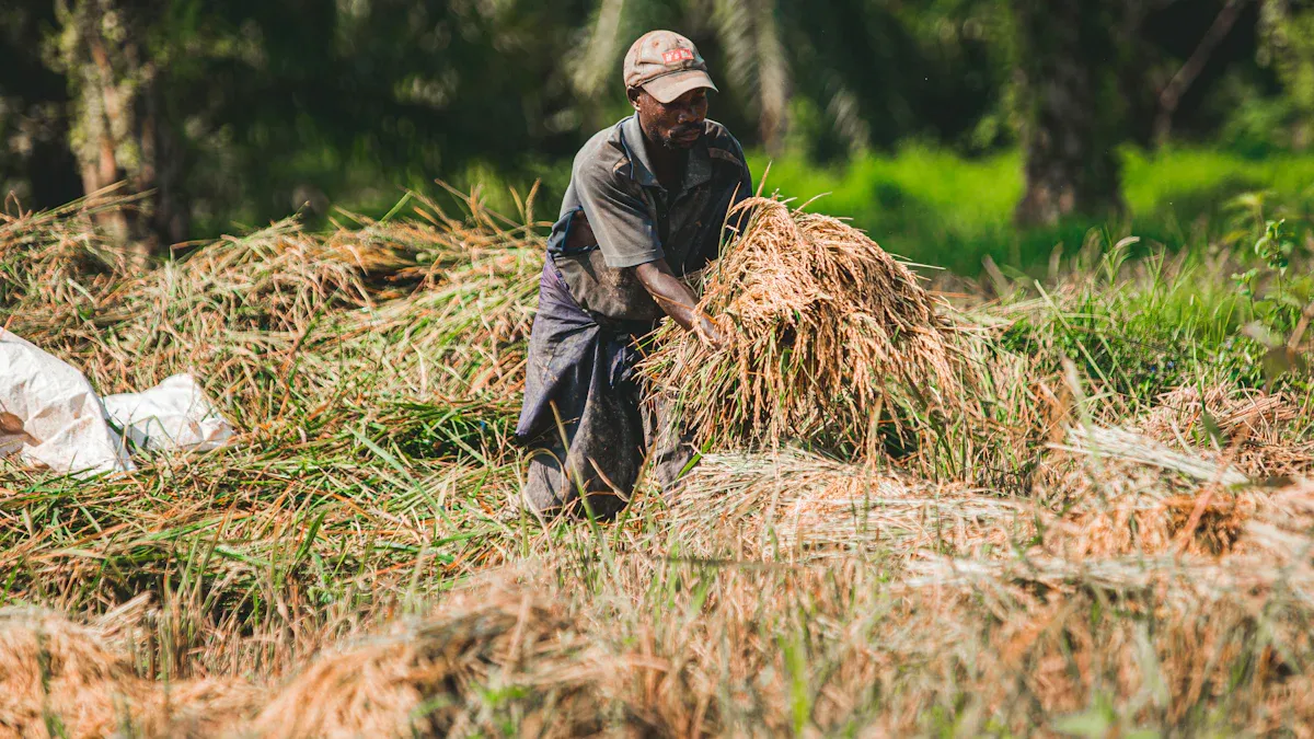 Techniques for Harvesting Mugwort