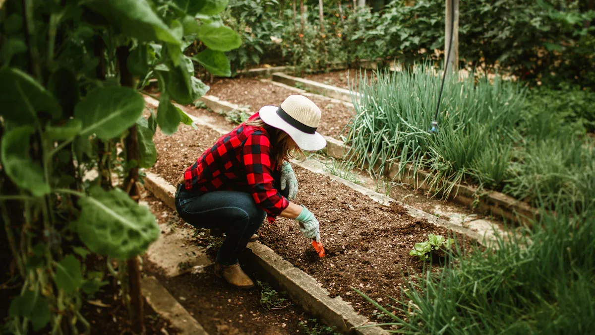 Using Compost Tea as a Natural Fertilizer: Benefits and Application Tips