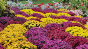 How to Create a Raised Berm for Vibrant Flower Beds