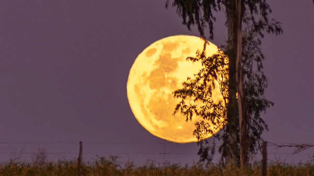 Full Moon: Best Times to Harvest