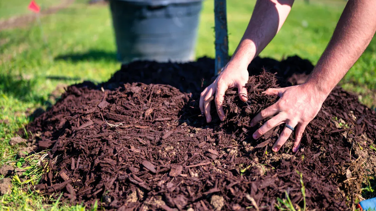 Feverfew Plant Soil Composition
