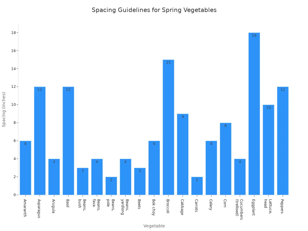 Bar chart showing recommended spacing in inches for common spring vegetables