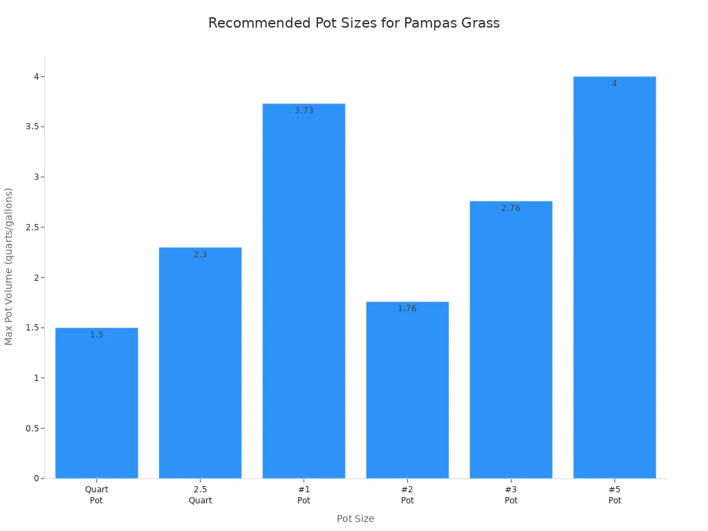 Bar chart showing recommended pot sizes and volumes for pampas grass growth