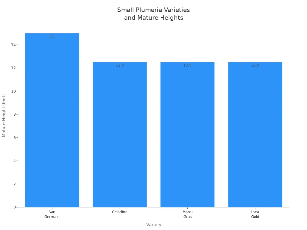 Bar chart showing mature heights of small Plumeria varieties