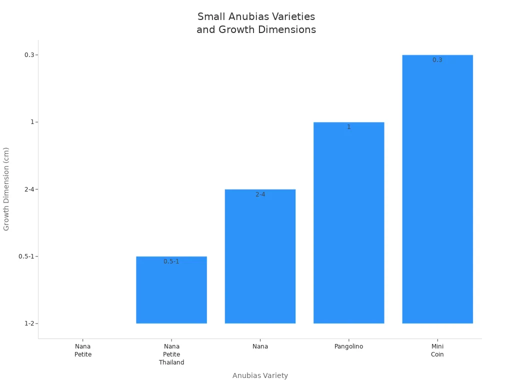 Bar chart comparing growth dimensions of popular small Anubias varieties
