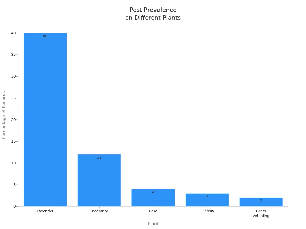 Bar chart comparing pest prevalence on lavender, rosemary, rose, fuchsia, and grass vetchling