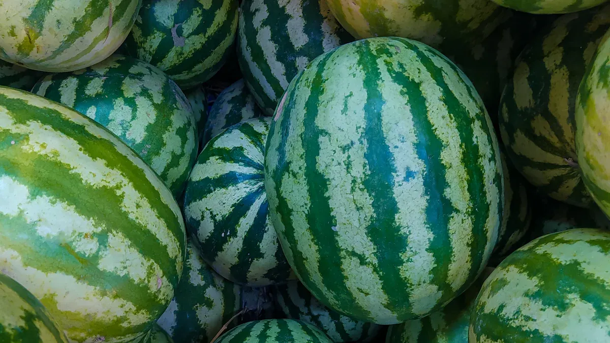 Top Sweet Watermelon Varieties for Home Gardens