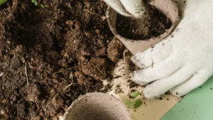 10 Practical Uses for Wood Ash in the Garden and Home