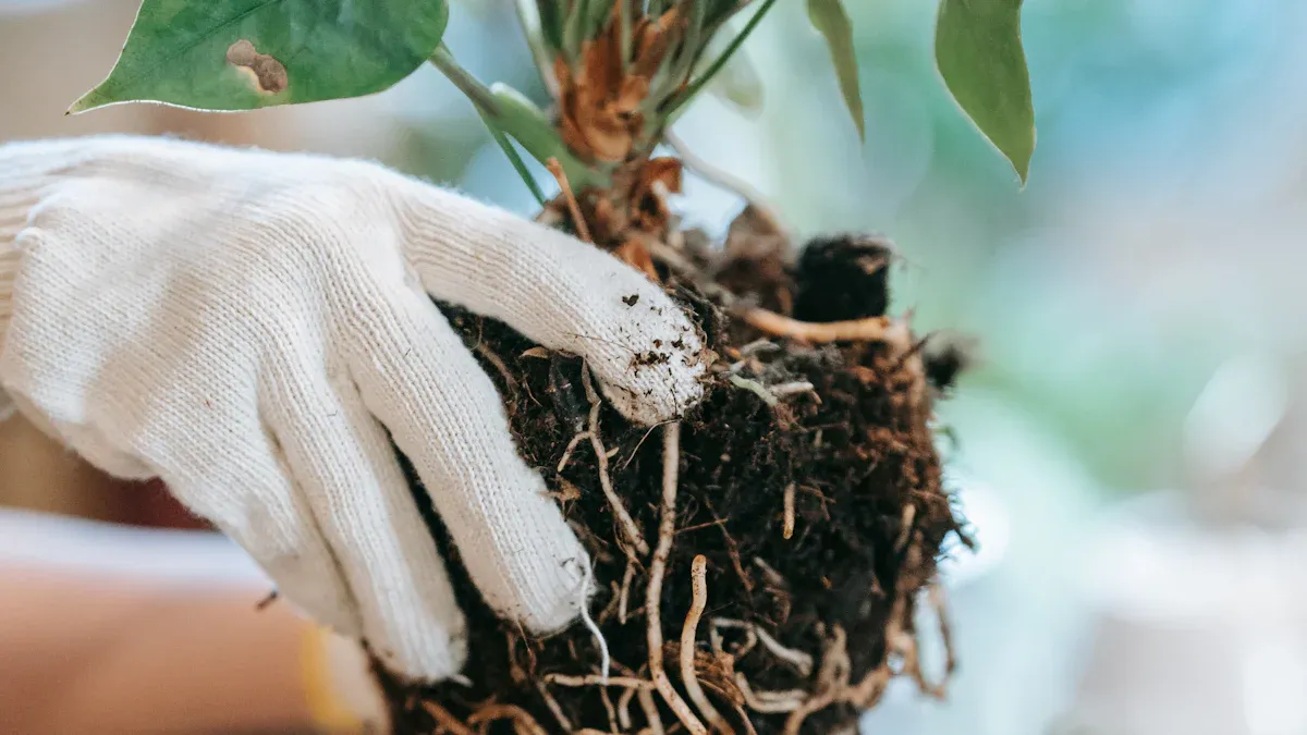 Soil Types