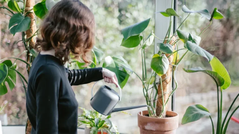 How to Detect and Treat Lice Infestation on Plants Quickly