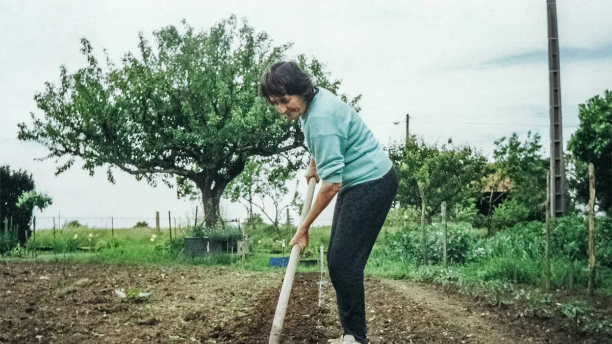 Transplanting Greek Oregano Cuttings