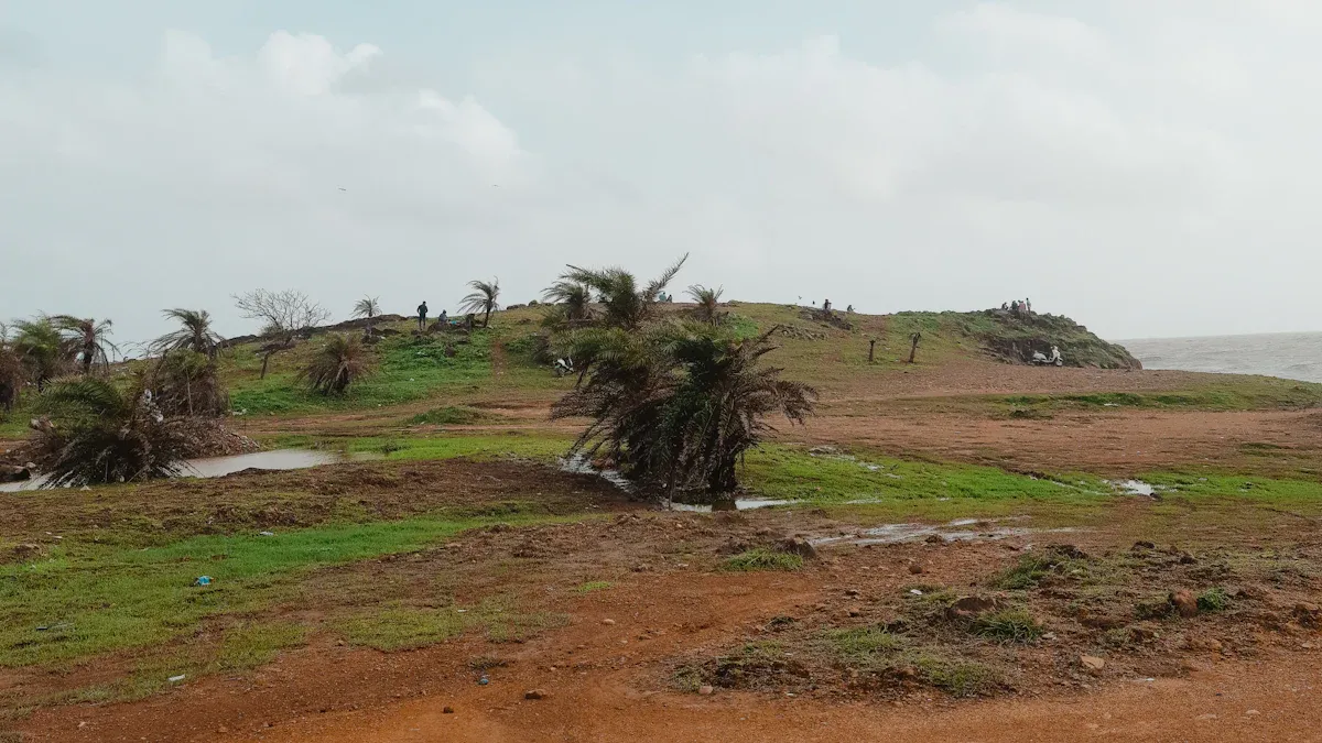 Environmental Factors