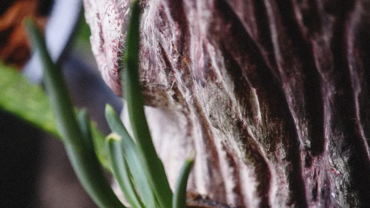 Onion-Growing Tips