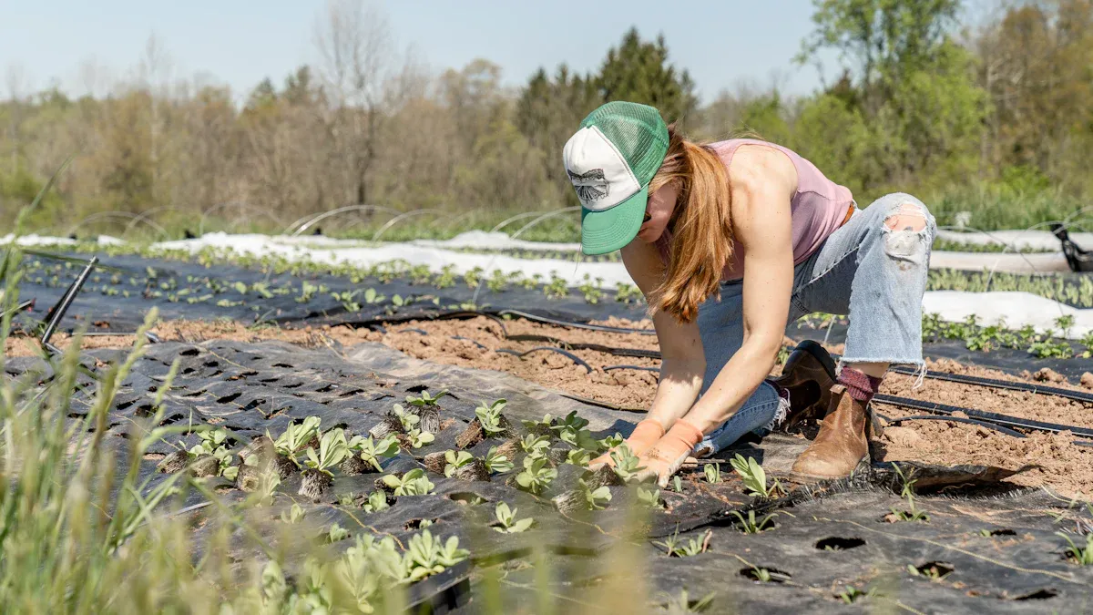 Practical Gardening Methods in Salt Marshes
