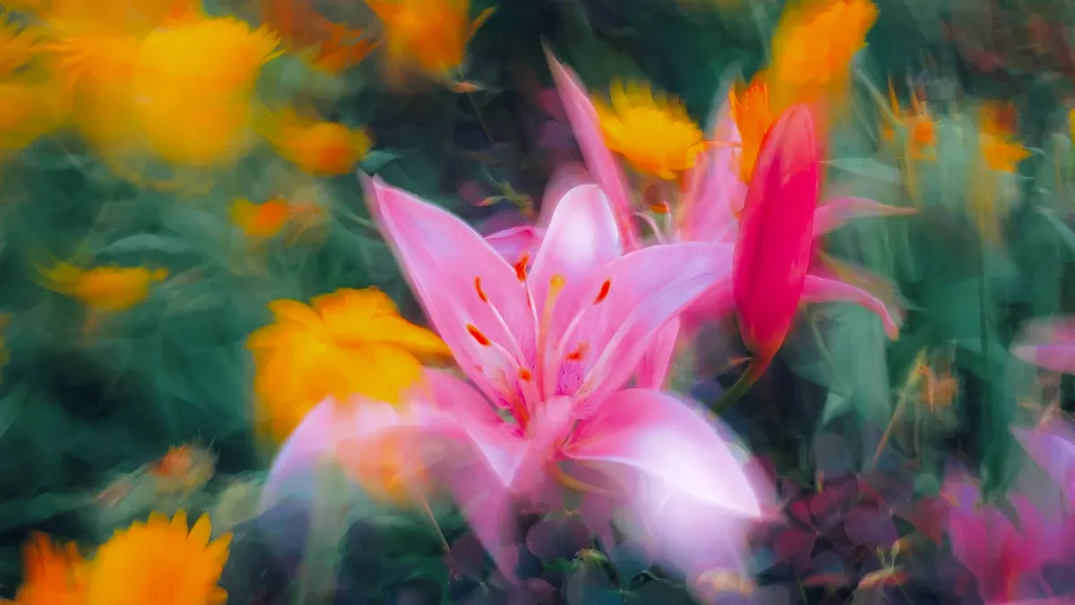 Angel Wings Plant Care Guide: Tips and Tricks for Healthy Growth and Vibrant Blooms