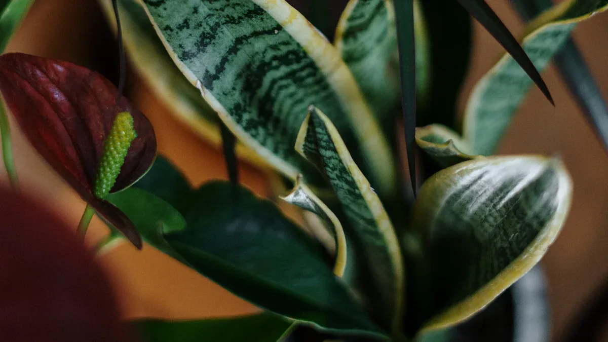 Propagation Materials