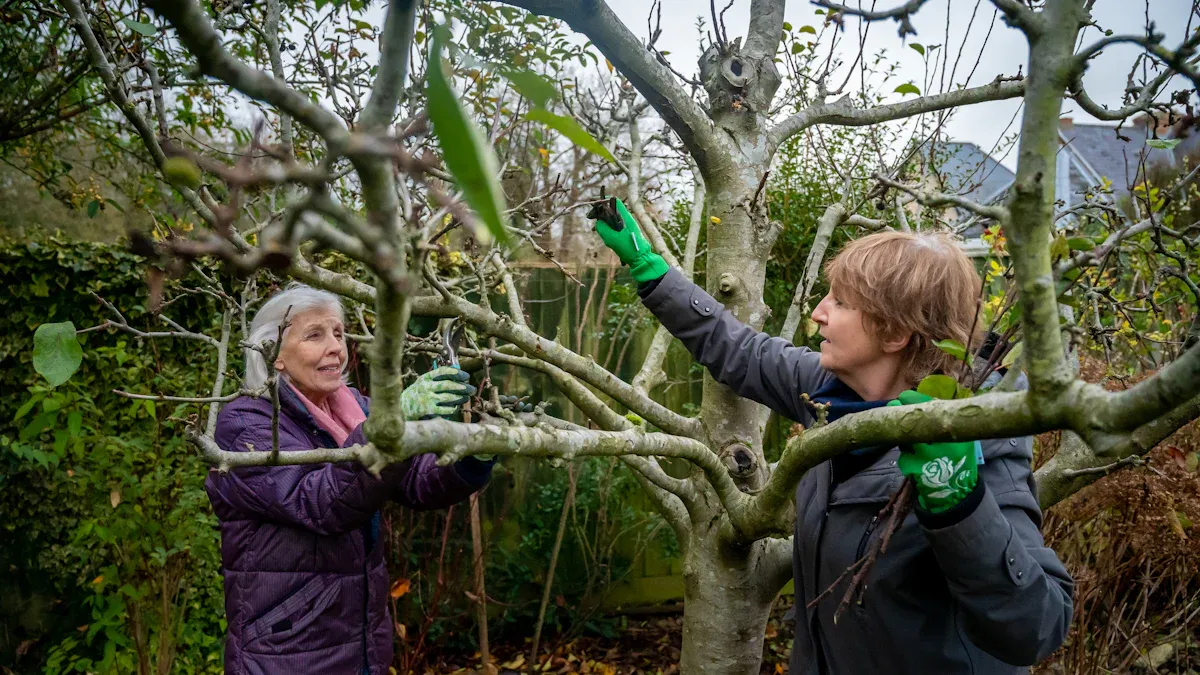 Shrubs You Shouldn’t Prune in Spring