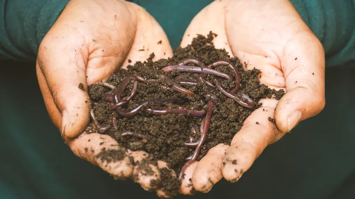 Get Rid of Worms Naturally