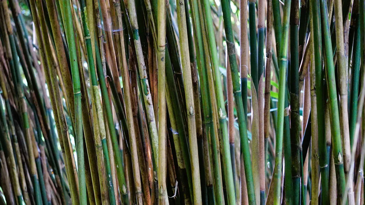 What’s Causing My Horsetail Reed Plant to Die?