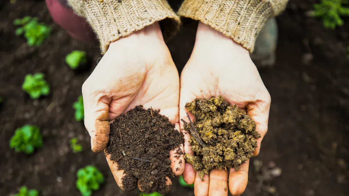 Importance of Aeration