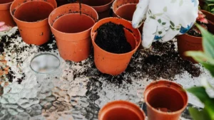 DIY Potting Soil For Roses
